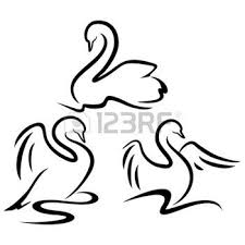 Baby Swan Clipart Black And White Swan Stock Vector Illustration And Royalty Free Swan Clipart Swan Tattoo Black Swan Tattoo Animal Line Drawings