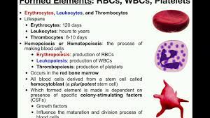 Blood distributes nearly everything that is carried from one area in the body to another place within the body. Anatomy Basics Of The Formed Elements Rbcs Wbcs Platelets Youtube