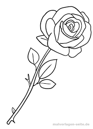 Malvorlage Rose Pflanzen Blumenmalerei Leinwand Blumenzeichnung Malvorlagen