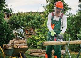 The top countries of supplier is russian federation, from which. Press Conference Garden Tools 2017 Bosch Media Service
