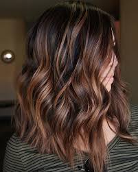 Black And Brown Highlights Hair Black Bob With Reddish Brown Highlights Hair Styles Long Hair Styles Hair Lengths
