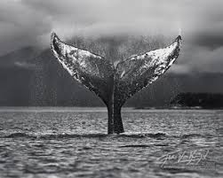 We did not find results for: Black And White Images Art In Nature Photography
