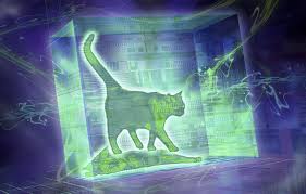 Can we Test Parallel Universes? | CNRS News