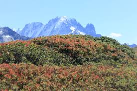 Maybe you would like to learn more about one of these? Tour Du Mont Blanc 9 Tag Fernwanderweg Outdooractive Com