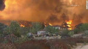 Fire & recovery—responses to fire. 7n0whdlwya7pmm