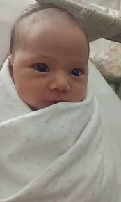 Happy #FoalFriday! Pictured: Heartland Grace Under Fire (Heartland Rain And  Fire X Nacho Mama) X Twin Willow's Handsome Dan (Twin Willow's Mcmillian X  Twin Willow's Arianna) Thank you, Alyssa Curry, for sharing