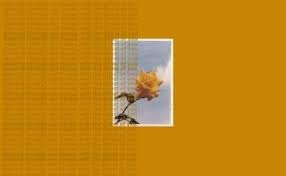Pin On Wallpaper