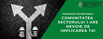 Afisare informatii din categoria administratii financiare. S1 Program Voluntariat