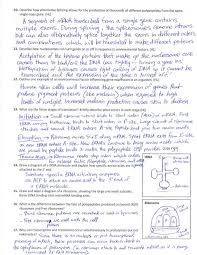 Ap Biology Biochemistry Basics Pogil Answer Key Pin On Nursing