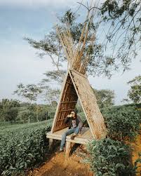 Lokasi geografisnya yang dikelilingi oleh pegunungan dan tidak jauh dari kawasan pantai membuat. Bukit Kuneer Spot Instagramable Yang Sedang Hits Di Malang
