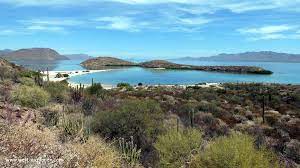 830.835 unabhängige bewertungen von hotels, restaurants und sehenswürdigkeiten sowie authentische reisefotos. Mexiko Kakteen Wuste Und Meer Auf Der Baja California Welt Explorer