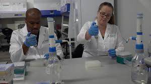 COVID lab repurposed to test rape kits, helping to clear nations backlog