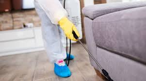 Therefore, if you think you are on the brink of an infestation. Pest Control In Dubai Book Pest Control Services Online