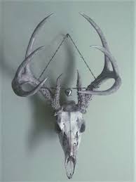 Pin By Umuttek On Mardboard Skull Skull Decor Antlers Decor