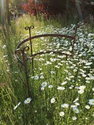 Staudenstutzen Staudenschmuck Ch Staudenhalter Rosenstabe Staudenfreunde Paonien Rankhilfe Metall Staudenhal Staudenhalter Rankhilfe Gartenspaliere