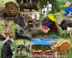 Jacksonville Zoo And Gardens