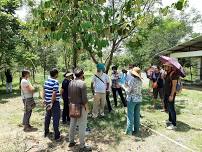 Intro to Permaculture Tour