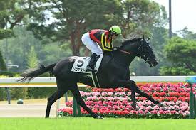 サンスポ - News update