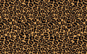 , clipart wallpaper blink tiger print clipart tiger skin x 800×640. Animal Print Laptop Wallpapers Top Free Animal Print Laptop Backgrounds Wallpaperaccess