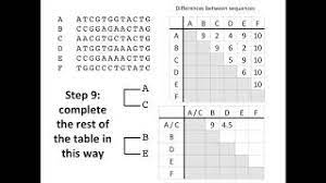 Creating A Phylogenetic Tree Youtube
