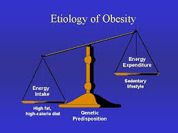 People living a sedentary lifestyle spend too much time engaging in behaviors that expend very little energy. Epidemiology Of Obesity Definition Of Obesity Obesity Can