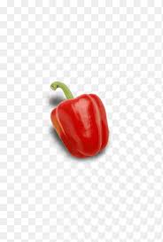 habanero bell pepper cayenne pepper chili pepper red pepper cayenne pepper chili pepper png pngegg pngegg