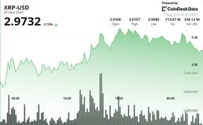 xrp 관련 이미지
