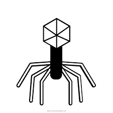 Check spelling or type a new query. Virus Disegni Da Colorare Ultra Coloring Pages