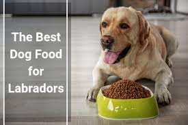 5 Best Puppy Foods For Labs 2019 Therapy Pet