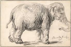Hewan darat raksasa yang memiliki ukuran super besar. Tanpa Bingkai Kanvas Lukisan Hewan Poster Seni Dekorasi Modern Gambar Kartun Menggambar Sketsa Gajah Oleh Rembrandt Animal Poster Art Decorelephant Pictures Cartoon Aliexpress