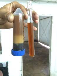 Make Your Own Black Diesel Or Biodiesel Fuel Recycle Your Waste Oil Black Diesel Diy Oils Diesel