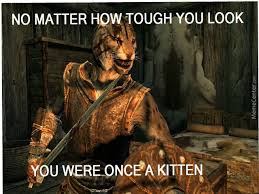Skyrim Khajiit By Eden45 Meme Center
