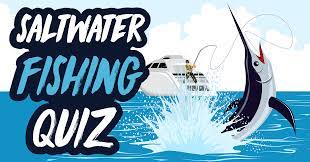 Ask questions and get answers from people sharing their experience with risk. Saltwater Fishing Quiz Quiz Quizony Com