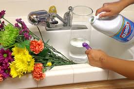 Check spelling or type a new query. Back To School Cleaning Tips Getting Squeaky Clean Both Inside Out