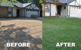 You need to stretch string to an adjacent stake. Total Lawn Restoration Killing Your Yard And Starting Over Grass Pad