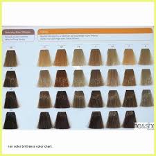 Start studying ion colour chart. Ion Hair Dye Color Chart 310348 Ion Hair Dye Colors Ion Hair Color Developer C 30 Tutorials