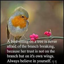 Bird Sitting On Branch Quote A Bird Sitting On A Tree Is Never Afraid Of The Branch Breaking Because Her Trust Is Not On The Branch But On I Bird Quotes Thinking Of You Today Ikeda