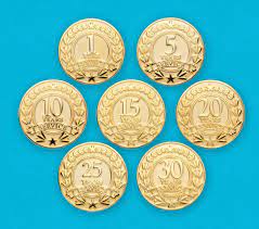 1 5 10 15 20 25 30 Years Service Lapel Pins Lapel Pins Pins N Logo Design