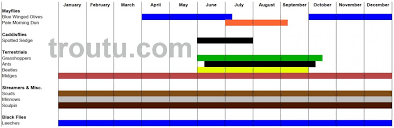 Fly Fishing Hatch Charts Trout Pro Store