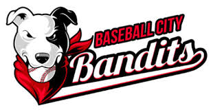 On behalf of the tidewater summer league, we would like to say thank you to all of the players, coaches, interns and volunteers who helped make our 2021 season another summer to remember. Summer Collegiate Baseball League Baseball City St Pete Florida