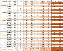 kitten size chart bedowntowndaytona com