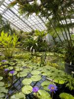 Auf einer fläche von 4,5 ha wachsen im freiland und der heutige botanische garten in jena entstand 1794, nachdem es dem professor für botanik a.j.g.c. Botanischer Garten Jena Friedrich Schiller Universitat Jena