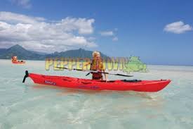 Lots of storage, comfortable seat (sits on top), and pole holders. Ocean Kayak Prowler 13 Yellow By Peppertown Online Store