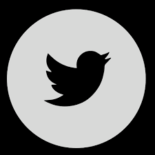 Download free and premium icons for web design, mobile application, and other graphic design work. Gray Twitter Circle Icon Free Download On Iconfinder
