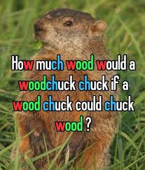 How Much Wood Would A Woodchuck Chuck If A Woodchuck Could Chuck Wood? »  ScienceABC