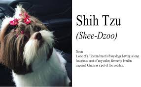 How to say horror film. 12 More Dog Breed Names You Might Be Pronouncing Wrong Barkpost