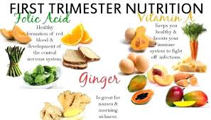 12 Most Popular Pregnancy Food Size Chart