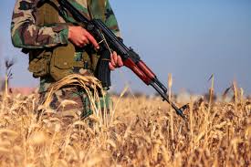 Harakat Hezbollah Al-Najuba: Iran's Next Top Proxy Group?