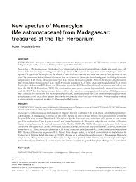 Image result for Memecylon torrei