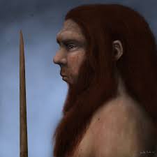 Neanderthal man. by Frank-Lode